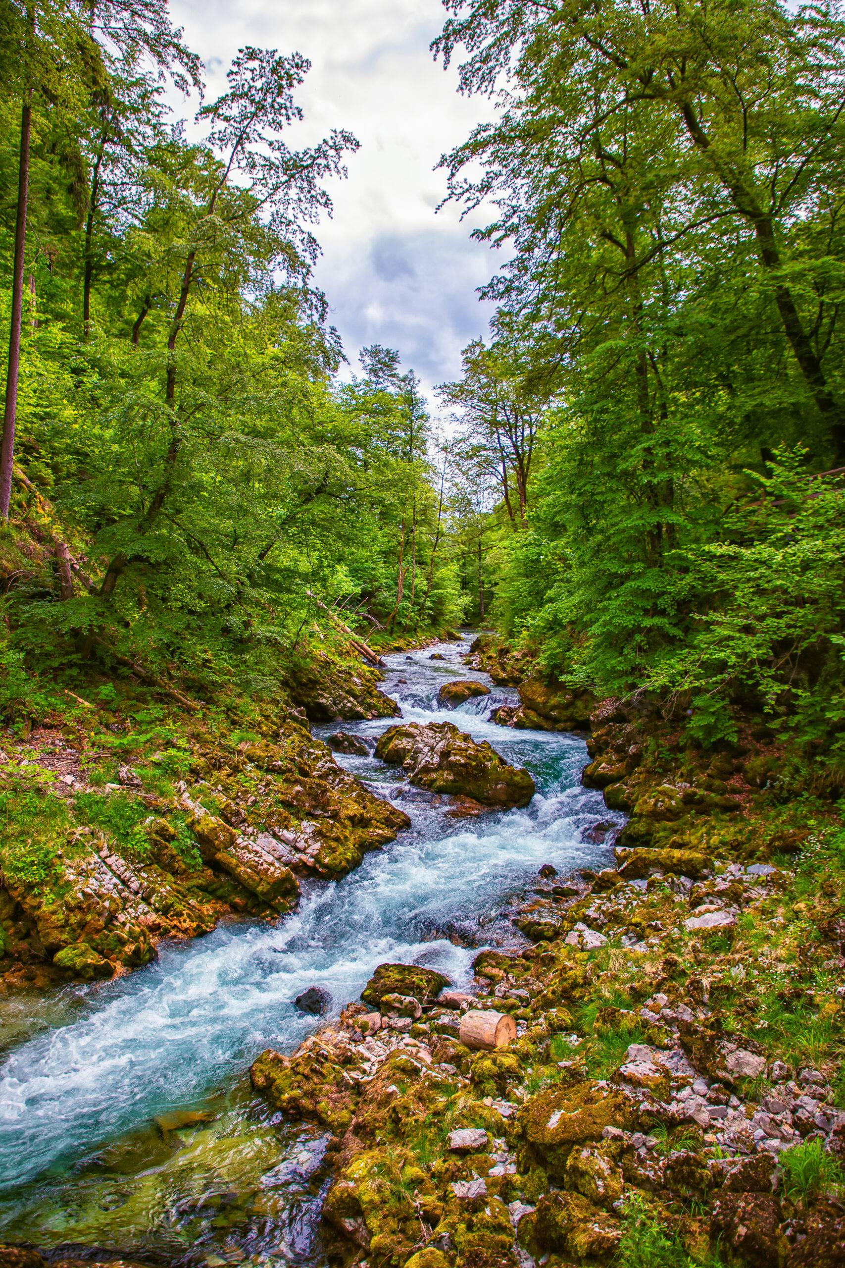 Green landscape images, travel Photography