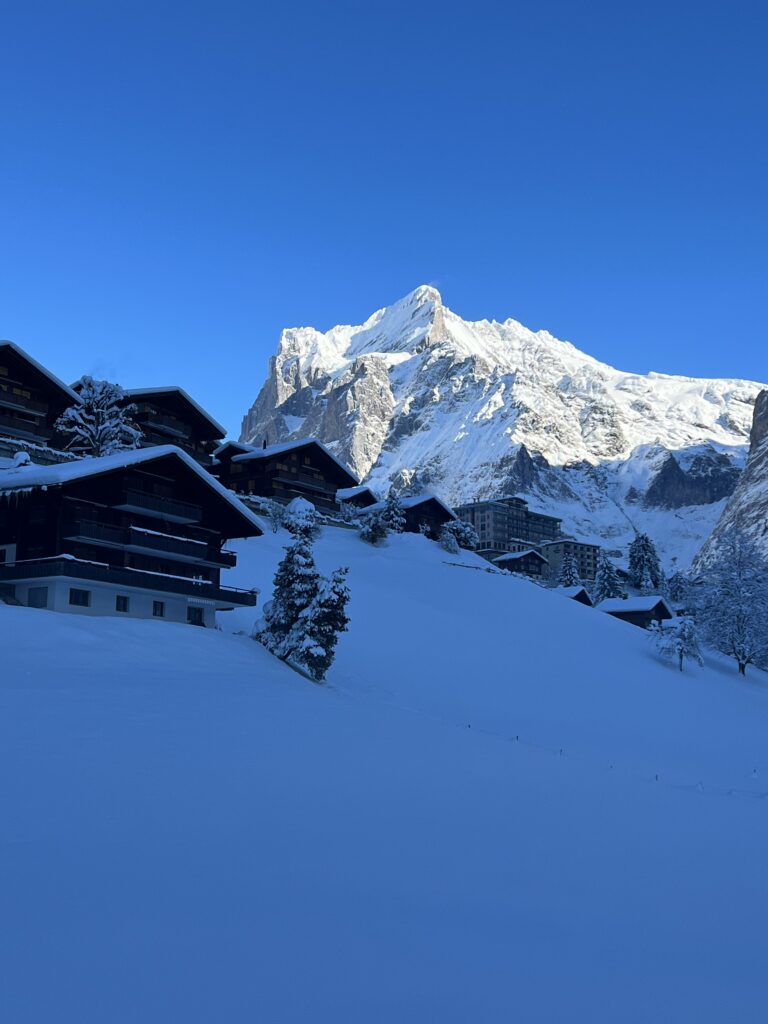 Top Swiss mountains