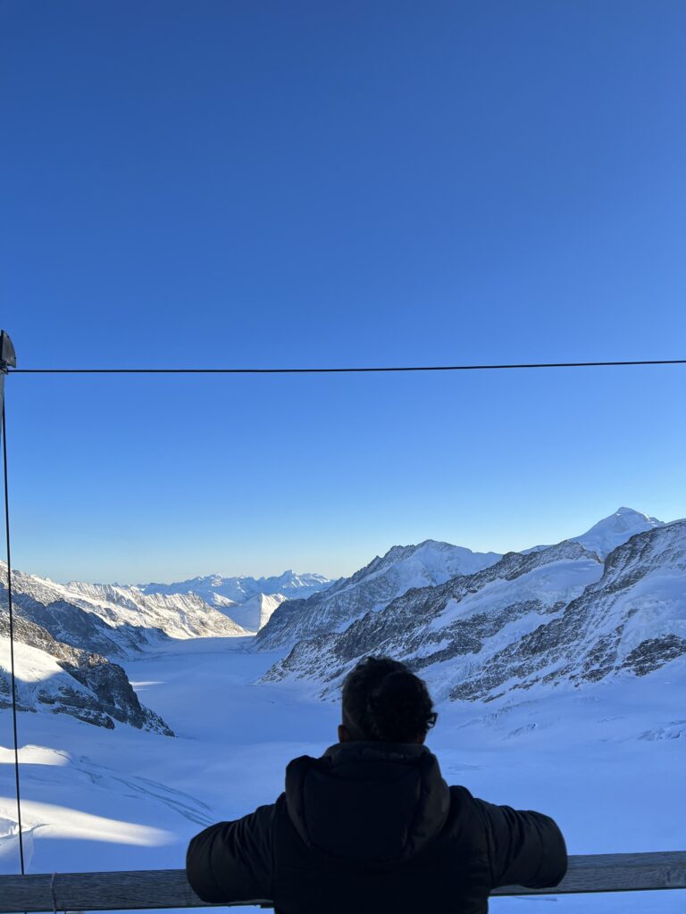 Top Swiss mountains