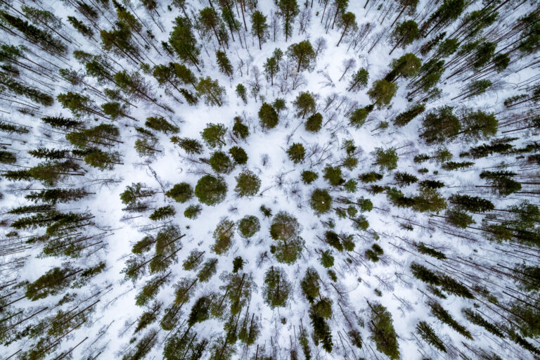 Lapland view in winter