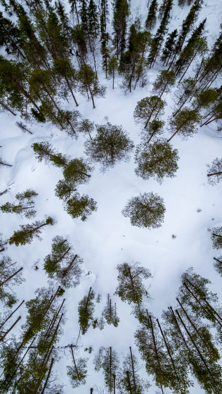 Lapland landscape